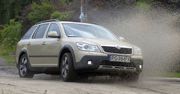 Skoda Octavia II Scout 2,0 TDI: wielozadaniowa Czeszka