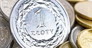 Złoty: oczekiwanie na dane z Polski i Niemiec