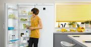 Zanussi Easy - nowe chłodziarki i zamrażarki o łatwej obsłudze