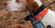 Nowe urządzenia Garmin do lokalizacji i tresury psów