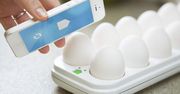 Egg Minder - inteligentny pojemnik na jajka