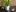 Parrot Flower Power: cyfrowy asystent ogrodniczy