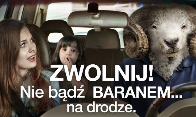 GITD radzi: nie bądź baranem