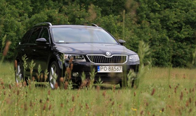 Skoda Octavia 1,8 TSI 4x4: nie licząc kosztów