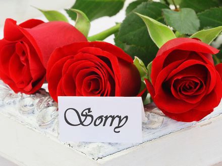 "Sorry mamo". Dzieci przepraszają za grzeszki sprzed lat