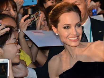 Angelina Jolie zajmie się obrońcą słoni