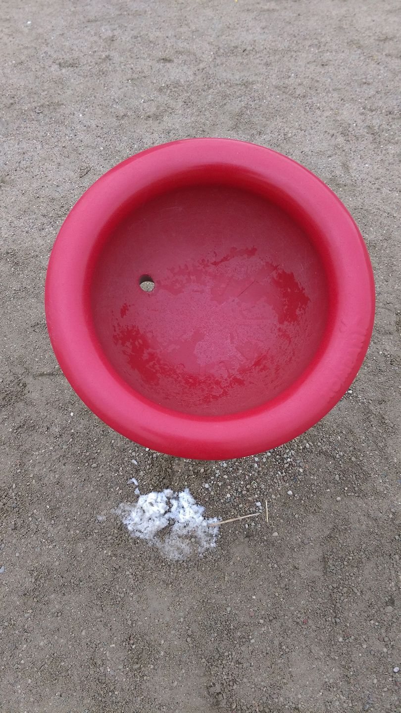 HTC Desire Eye - test fotograficzny 15