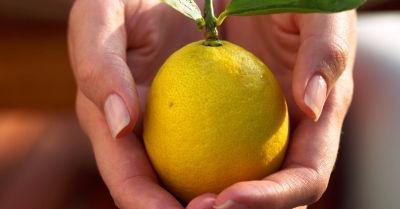 Witaminy – alfabet życia