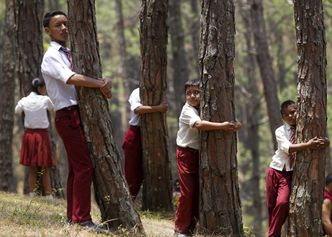 Nepal: Tysiące ludzi ściskają drzewa próbując pobić rekord Guinnessa