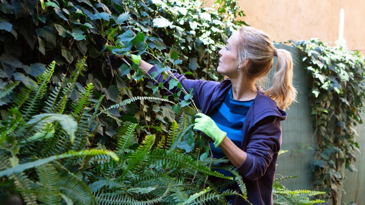 Tężec daje charakterystyczne objawy. Wiosną ryzyko zakażenia rośnie