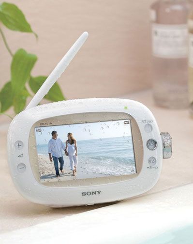 Telewizor LCD Sony Bravia do łazienki