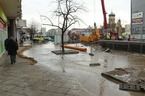 Oto najbardziej niebezpieczne województwa!