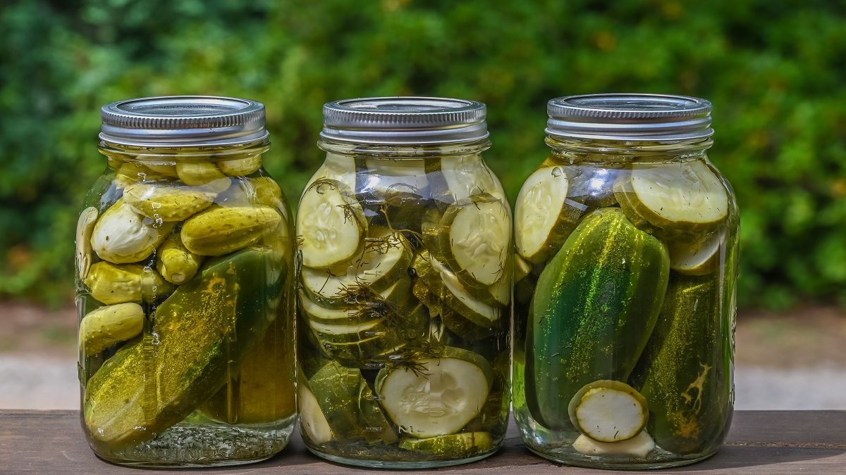 Ogórki watykańskie. Fot. AdobeStock