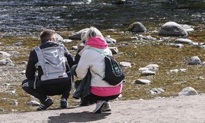 "Prawie umarła". Napiła się wody z potoku w słowackich Tatrach