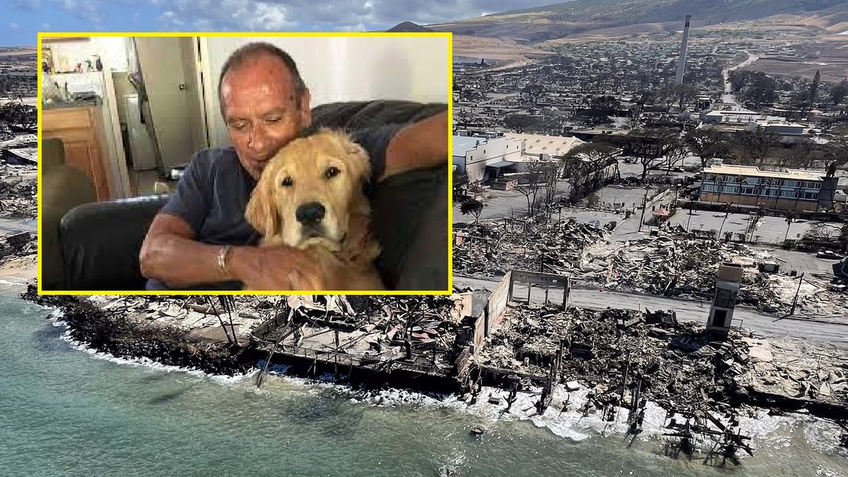 Mężczyzna próbował uratować psa.