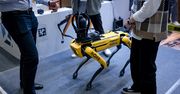 Robotyczny pies od Boston Dynamics przemówił. Pomógł mu w tym ChatGPT