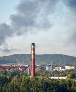 Pożar hali przemysłowej. "Zamknijcie okna w domu"