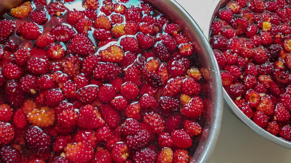 Dlaczego warto jeść maliny?