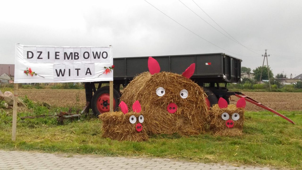 Święto plonów w gm. Kaczory