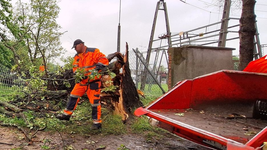 Drzewo, które rosło przy al. Tarnowskich przewórciło sie na teren stacji energetycznej, uszkadzając ogrodzenie. Jego usunięciem zajęły się służby miejskie