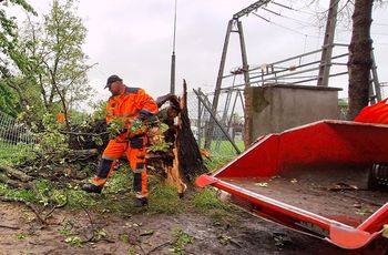 Przy alei Tarnowskich w Tarnowie przewróciło się drzewo. Mieszkańcy obawiają się o stan innych, które rosną obok oraz o swoje bezpieczeństwo