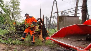 Przy alei Tarnowskich w Tarnowie przewróciło się drzewo. Mieszkańcy obawiają się o stan innych, które rosną obok oraz o swoje bezpieczeństwo