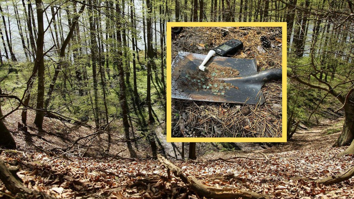 Spacer z wykrywaczem? Odkryli 180 monet sprzed setek lat