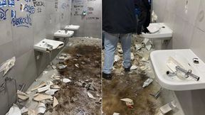 Chuligani z Niemiec się "popisali". "Jakby przewaliła się jakaś dzicz"