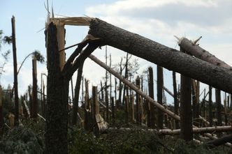 Trąby powietrzne na południu Polski - ministerstwo ostrzega