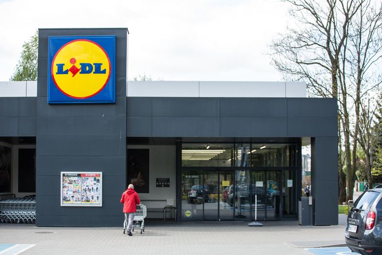 Lidl napędza polski eksport. 9 mld zł w ciągu trzech ostatnich lat