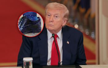 "Trampki są wspaniałe". Absurdalny wywiad Trumpa