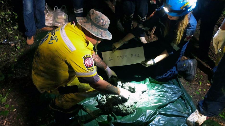 A handout photo made available by the Poh Teck Tung Foundation shows rescue workers collecting evidence at the site while conducting a search and rescue operating to recover the wreckage of a plane after it crashed into a mangrove forest in Chachoengsao province, Thailand, 23 August 2024. A small plane with nine people on board was found in the mud after it crashed in a mangrove forest in Chachoengsao province. All nine passengers, including five Chinese tourists from Hong Kong, two Thai female crew and the Thai pilot and co-pilot were killed in the crash, according to the Governor of Chachoengsao Province. EPA/PARTYA CHURARAT / HANDOUT HANDOUT EDITORIAL USE ONLY/NO SALES Dostawca: PAP/EPA.