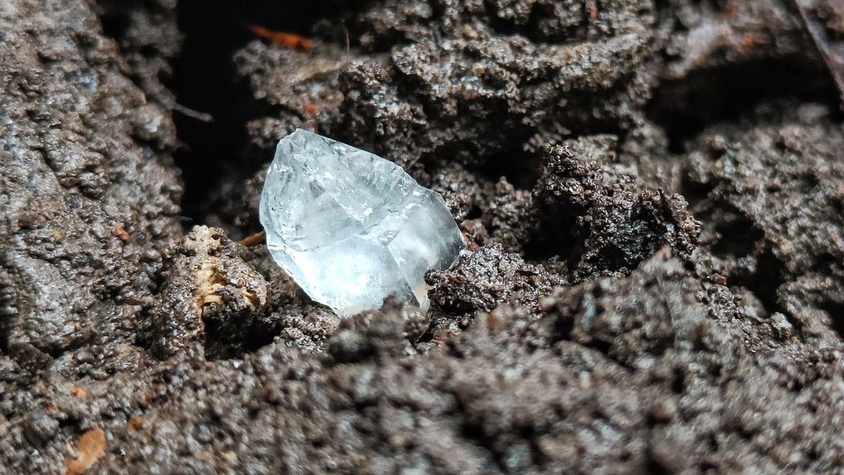 Skarby ukryte w górach. Leśnicy pokazali znalezisko po deszczu