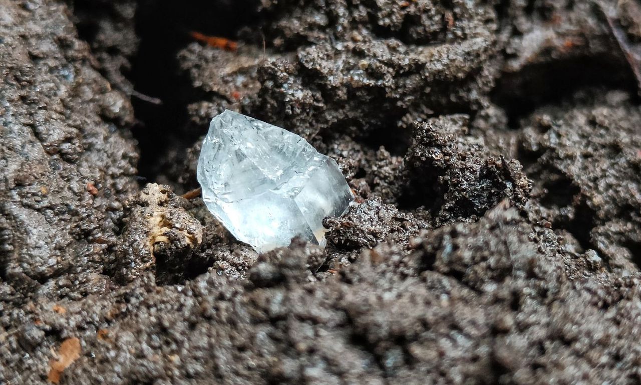 Skarby ukryte w górach. Leśnicy pokazali znalezisko po deszczu
