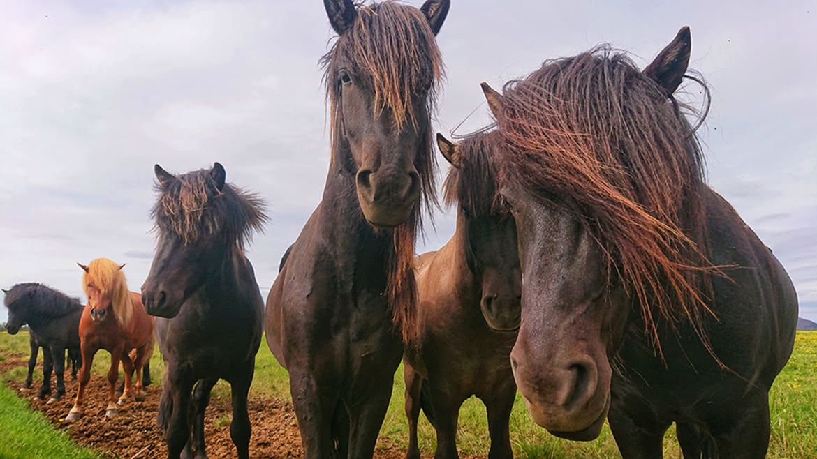 17 polskich nazwisk w selekcji Mobile Photography Awards 2018 19