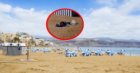Zdjęcia z plaży na Kanarach. Jest ich coraz więcej