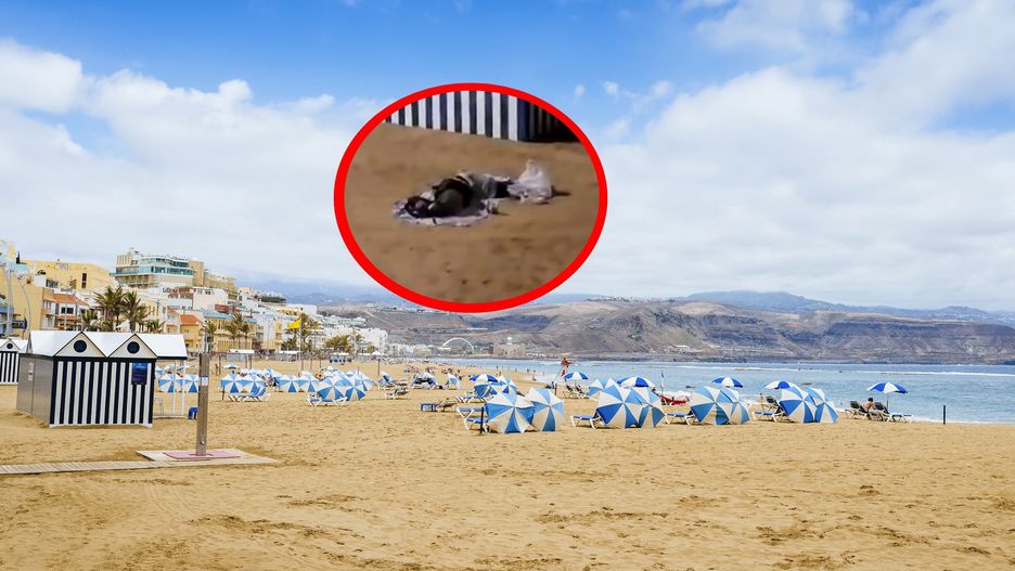 Bezdomnie opanowali słynną plażę