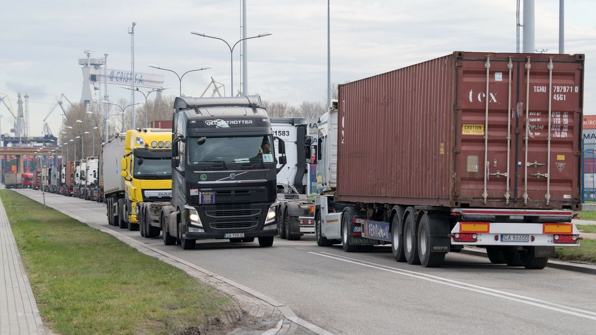 Ogromne kolejki w porcie w Gdyni
16.11.2023 Gdynia Port Ogromne kolejki
Fot. Wojciech Strozyk/REPORTER
Wojciech Strozyk/REPORTER