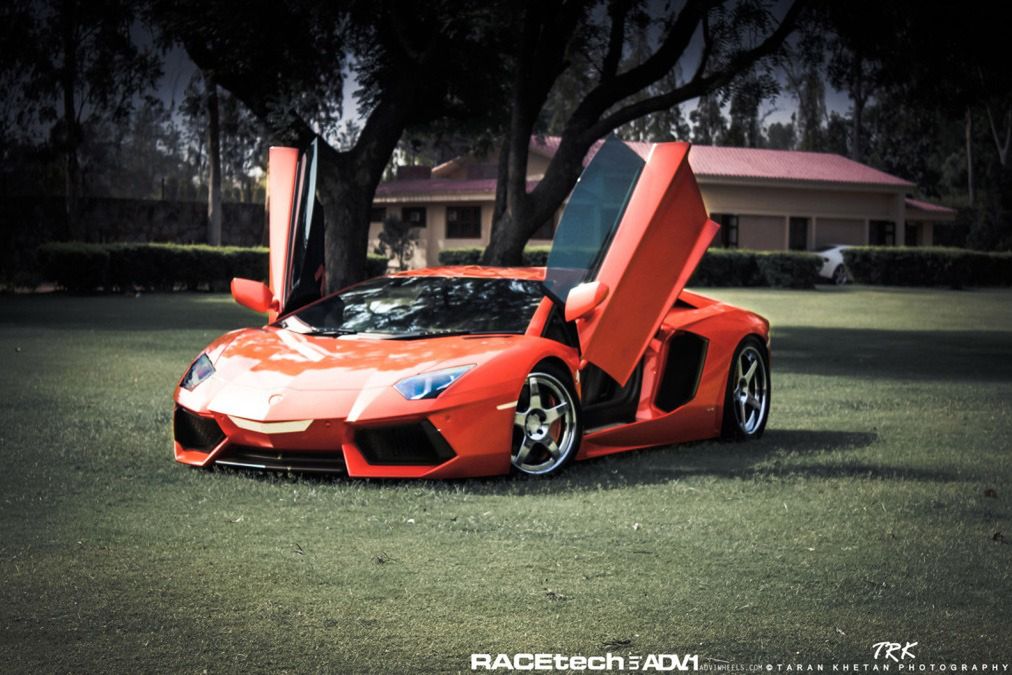 Lamborghini Aventador, felgi ADV.1 i słoń - niecodzienna sesja zdjęciowa [galeria] 14