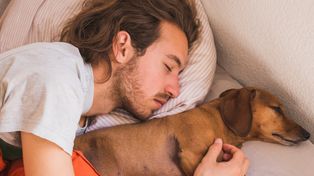 Pies śpi obok Ciebie? Możesz nie zauważać, jak wpływa na Twój sen