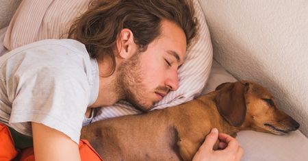 Pies śpi obok Ciebie? Możesz nie zauważać, jak wpływa na Twój sen