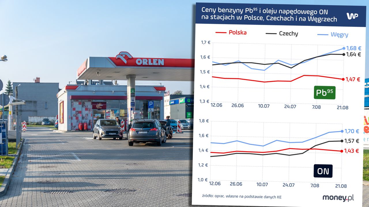 "Zaskakujące ceny paliw". Orlen tłumaczy się z zarzutów