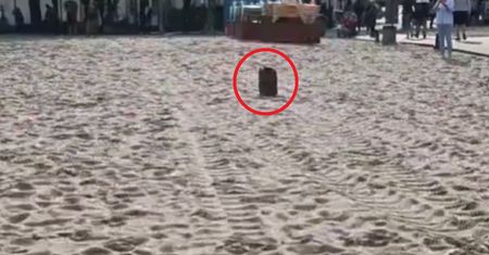 Niezwykły widok na plaży w Gdyni. Ludzie chwycili za telefony