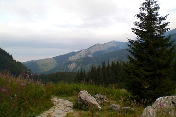 Obraz