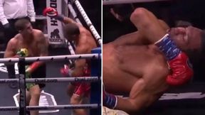 Brutalny nokaut byłej gwiazdy UFC. Padł nieprzytomny [WIDEO]
