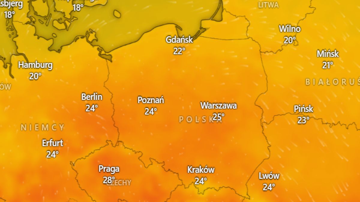 Półmetek lata. Przed nami ciepłe dni