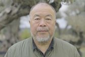 Ai Weiwei. Grając z systemem