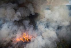Teksas walczy z gigantycznymi pożarami - zobacz film