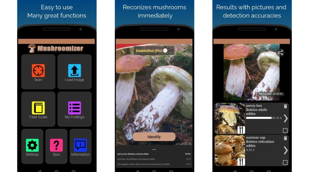 Mushroomizer aplikacja dla grzybiarzy