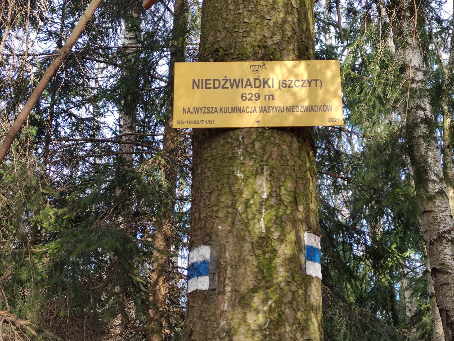 Szczyt Niedźwiadków.